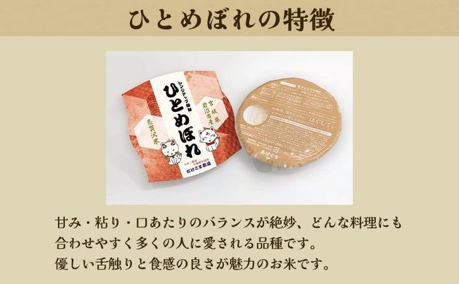 【 令和7年産 】レトルト ひとめぼれ 志賀沢米 レンジアップごはん 20個 セット レトルト食品 パックご飯 パックごはん