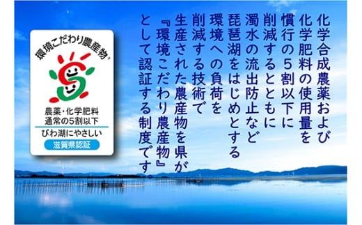 【7年産】近江米 環境こだわり米 コシヒカリ 無洗米【5kg×1】【BN14W】5kg 米 こしひかり コシヒカリ おこめ 贈り物 人気米 ご飯 白米 コメ 贈答 滋賀県 近江八幡市 無洗米