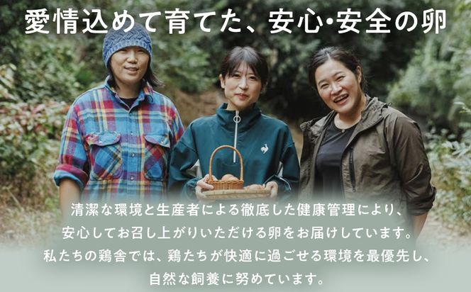 【定期便】３回定期 【天王原のたまご】 サクセス卵160個入り