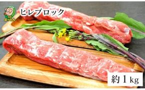 延岡よっとん ヒレブロック1kg N003-YB128