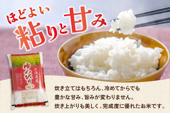 【新米予約】【12ヵ月定期便】令和8年産 ゆめぴりか 5kg 北海道 留萌管内産 R004-216