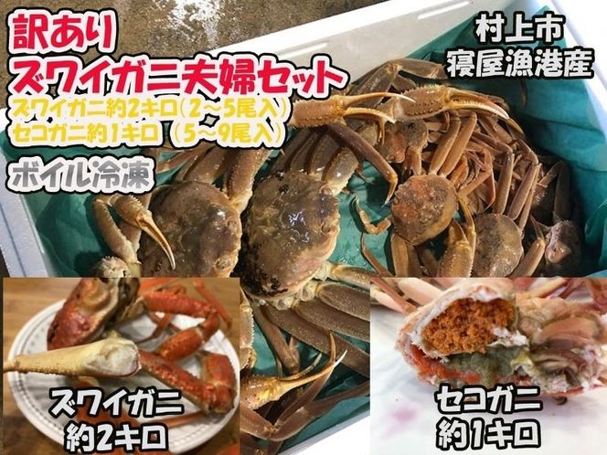 【数量・期間限定】【訳あり】新潟県村上市寝屋漁港産　本ズワイガニ夫婦セット 約3kg（雄 約2kg＋セコガニ 約1kg） 1079003