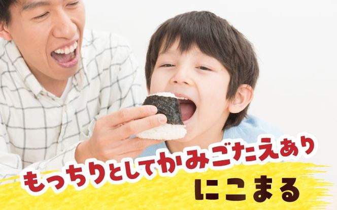 【6回定期便】にこまる　玄米　10kg　お米　ご飯　愛西市／株式会社戸倉トラクター[AECS071]