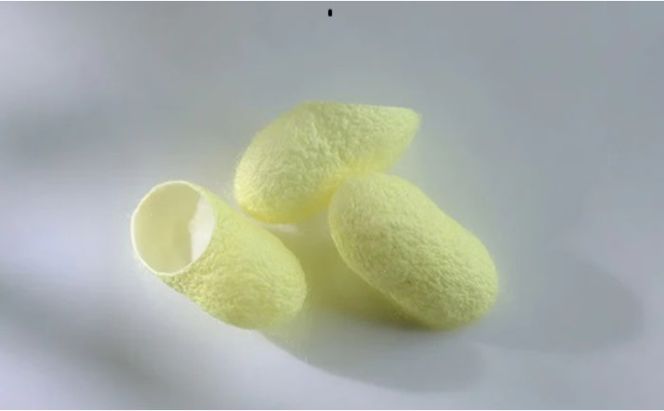 《絹生活研究所》インナー／メンズ／半袖／グレー インナーウェア 下着 肌着 Tシャツ ファッション 服 男性 