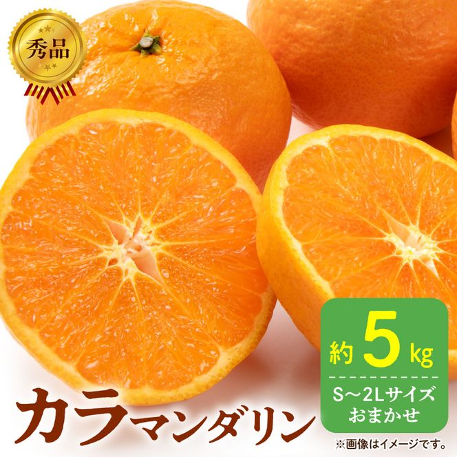 DZ6212_秀品 カラマンダリン なつみ 和歌山 有田 秀品 S～2Lサイズ 大きさお任せ 約5kg