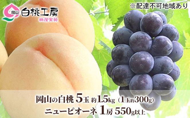 桃 ぶどう 2026年 先行予約 白桃 5玉 合計約1.5kg（1玉 約300g） ニューピオーネ 1房 550g 詰合せ もも モモ 葡萄 ブドウ ピオーネ 岡山県産 国産 フルーツ 果物 ギフト 桃茂実苑 