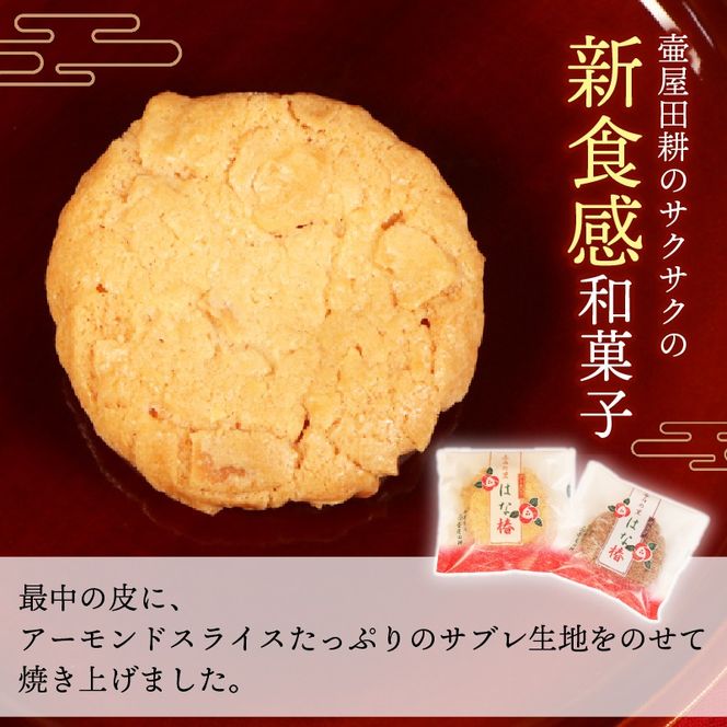 y茧Dnszُ܎ Tu ͂Ȓ 15 ySَq唎EOd zَq mَq aَq XC[c RRA A[h rXPbg NbL[     ̂ v[g Mtg aَq ىck O 茧 Dns [tsuboya010]