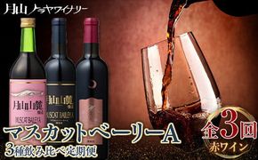 FYN6-462 【月山トラヤワイナリー】 マスカットベーリーA 赤ワイン 3種 飲み比べ 定期便 3回 辛口 山形 西川町 酒