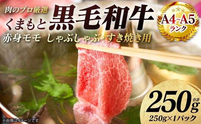 【A4～A5ランク】 くまもと黒毛和牛 赤身 モモ しゃぶしゃぶ すき焼き用　250g （250g×1パック） 和牛 牛肉 お肉 黒毛和牛 冷凍 おかず ギフト 熊本県 八代市