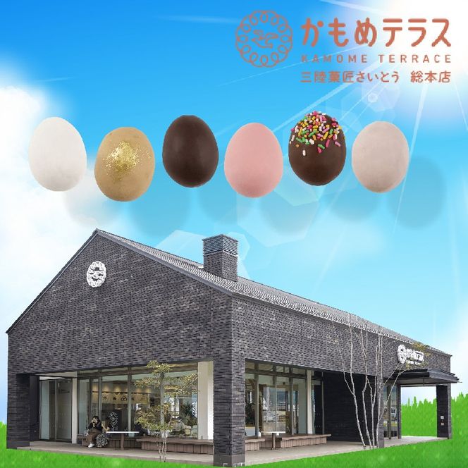 かもめのショコらん 6個入×2箱 お菓子 おかし 銘菓 お土産 おみやげ スイーツ チョコ 餡 チョコ餡 チョコ さいとう製菓 岩手県 大船渡市［kamome34］