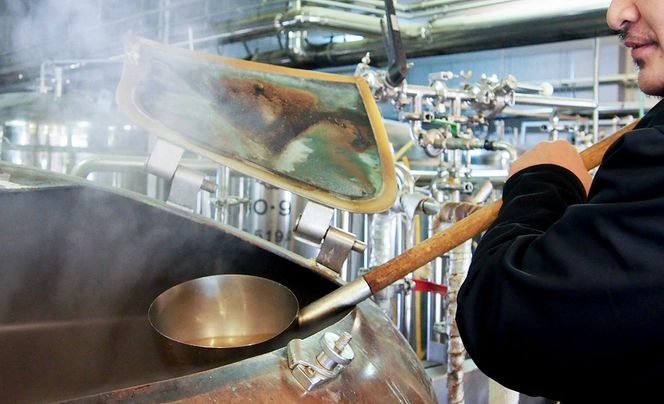 りんごビールCACHINA 330ml 6本セット|02_azg-010601