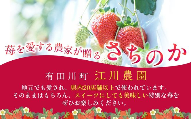 おいしさにこだわった いちご 苺 さちのか 300g × 4パック 合計 1.2kg 2L サイズ 江川農園 BM02