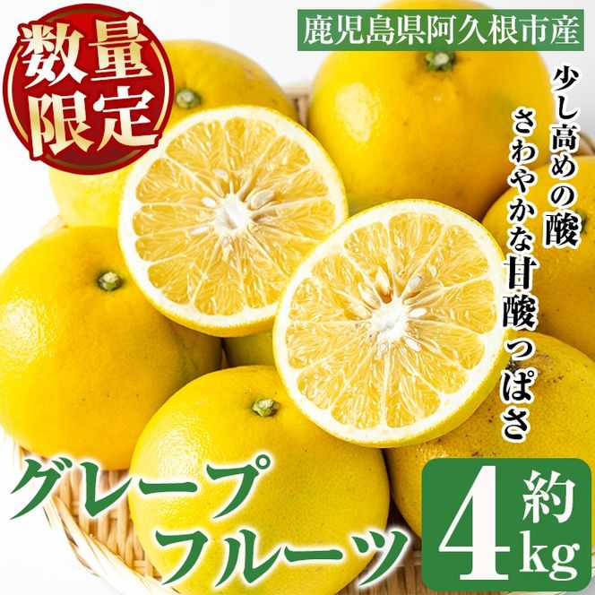 yvszs\tI2026N2ȍ~ʌIO[vt[c(4kg)Y ʎ ʕ t[c k fU[g Ԍy˖승kЁzakn070-04
