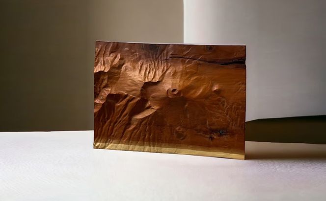 信州小諸産の木を使った浅間山の立体模型 