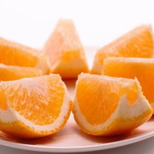 ＜4月より発送＞家庭用 甘夏柑7.5kg+250g（傷み補償分）◇【初夏のみかん・旬の果物】【有田産】【光センサー食べ頃出荷】【わけあり・訳あり】