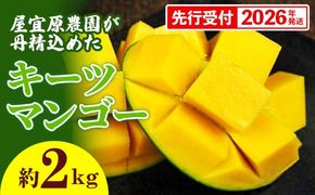 【先行受付】【2026年発送】屋宜原農園が丹精込めた「キーツマンゴー」約2kg - 先行予約 沖縄 産地直送 南国フルーツ 旬の味覚 沖縄県産 国産マンゴー 希少種 オススメ 沖縄県 八重瀬町
