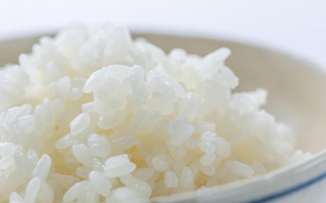 北海道産 特別栽培米 ななつぼし 万馬券 10kg