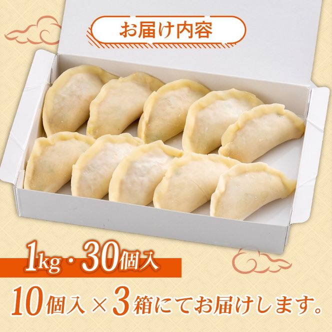 餃子 【創業50年 老舗ラーメン店が作る】手作り ジャンボ 冷凍餃子 30個入り 餃子 冷凍 冷凍食品 ぎょうざ ギョウザ ギョーザ おつまみ 静岡県 藤枝市