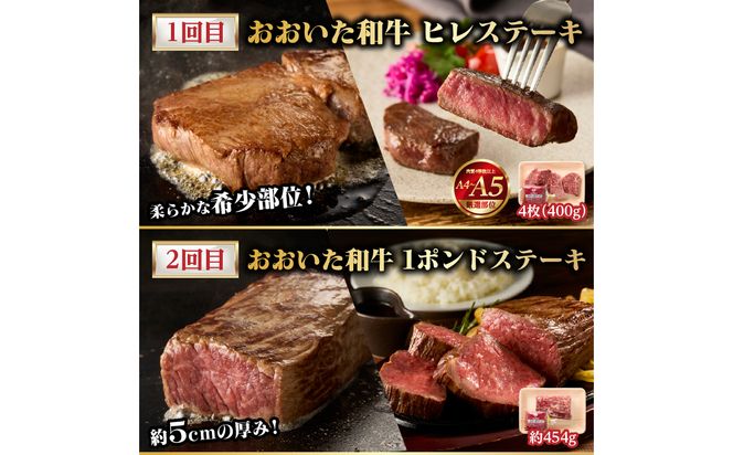 【T10098】【隔月配送】【おおいた和牛堪能】隔月4回お届け定期便