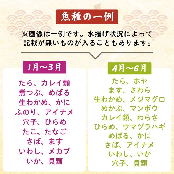 【下処理あり】 朝獲れ 鮮魚 ボックス 大漁便 魚種 4～5種 三陸 朝獲れ直送 冷蔵 魚種お任せ 水揚げ 海鮮 魚介 産地直送 新鮮 天然 魚 詰め合わせ 鮮魚便 鮮魚セット 下処理 三陸産 国産 海鮮 旬 岩手県 大船渡市 2万円 20000円