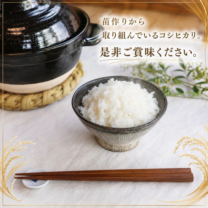 令和8年度産 新米先行予約 コシヒカリ 5kg 美山産 ひとしずく 令和8年 5キロ 農薬不使用 米 白米 精米 コメ お米 栽培期間中農薬不使用 単一原料米  ご飯 ごはん 安心 安全 こしひかり 新米26