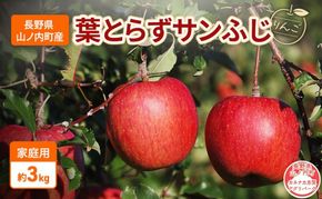 【2026年11月～発送】りんご 先行予約 家庭用 葉とらず サンふじ 約 3kg フルーツ 果物