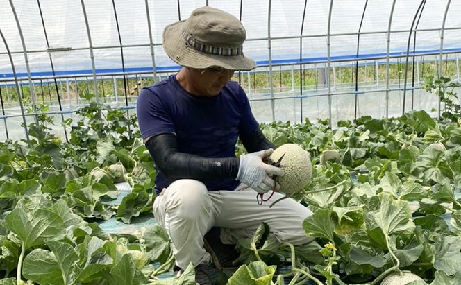 【2026年7月上旬～発送】ふらの 赤肉 メロン 2玉 計4kg以上 北海道 富良野市（高見農園）メロン フルーツ 果物 新鮮 甘い 贈り物 ギフト 道産 ジューシー おやつ ふらの ブランド 夏 