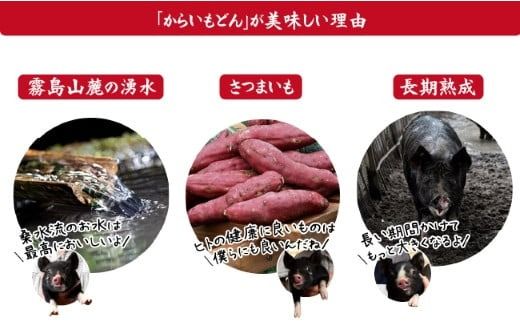 【牧場直送の新鮮黒豚】桑水流黒豚からいもどんスペアリブみそ漬け 500g（豚肉 黒豚 豚 肉 お肉 スペアリブ 味付き 味噌）