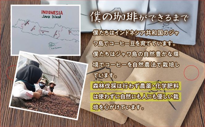 yRxm͌Βz肩Lh1&hbvTpbN FDQ001