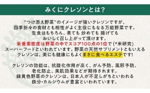 みくにクレソン100g×10袋 美容 健康 野菜 スーパーフード クレソン [CY003ci]