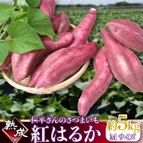 【2027年1月より順次発送】仁平さんの熟成紅はるか 約5kg(Mサイズ・洗い)｜さつまいも サツマイモ さつま芋 いも 紅はるか 熟成さつまいも 熟成 茨城県 行方市(CH-3)