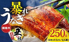 G3973d 【土用の丑の日までにお届け】うなぎ 暴れ盛り 250g（2カット）【規格外 お試し 鰻 かば焼き 簡単調理 訳あり サイズ不揃い 人気 惣菜 うな重 うな丼 ひつまぶし】