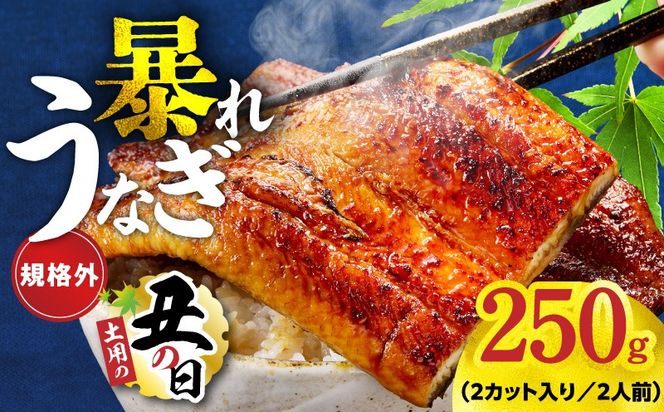 G3973d 【土用の丑の日までにお届け】うなぎ 暴れ盛り 250g（2カット）【規格外 お試し 鰻 かば焼き 簡単調理 訳あり サイズ不揃い 人気 惣菜 うな重 うな丼 ひつまぶし】