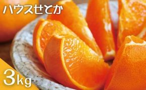 (先行予約) 家庭用 M~4L サイズおまかせ 3kg 阪口農園のハウスせとか【2025年2月中旬から3月中旬までに順次発送】 / せとか ハウスせとか みかん 蜜柑 先行予約 数量限定 ミカン【msa002A】