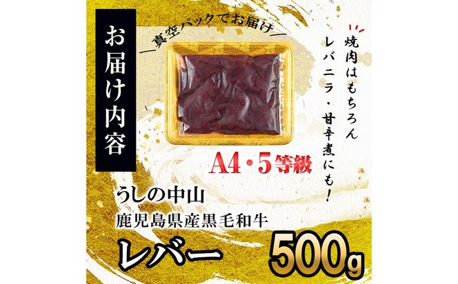 うしの中山 A4・A5等級黒毛和牛 レバー 500g（500g×1P）p9-034