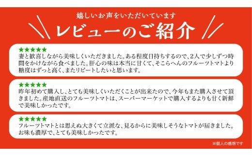てるて姫 大箱 約2.6kg × 2箱 【20～35玉/1箱】 2026年産 野菜ソムリエサミット 金賞 糖度9度 以上 野菜 フルーツトマト フルーツ トマト とまと [AF110ci]