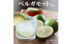 【先行予約】＜果樹園直送＞ 白木果樹園産 ベルガモット 約2kg 1キロ 10～15個入り〈2026年10月下旬～12月下旬頃発送〉  / 果物 くだもの 果実 柑橘類 柑橘 爽やか フレッシュ 新鮮 デトックスウォーター【白木果樹園】 [BQAI045]
