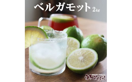 【先行予約】＜果樹園直送＞ 白木果樹園産 ベルガモット 約2kg 1キロ 10～15個入り〈2026年10月下旬～12月下旬頃発送〉  / 果物 くだもの 果実 柑橘類 柑橘 爽やか フレッシュ 新鮮 デトックスウォーター【白木果樹園】 [BQAI045]