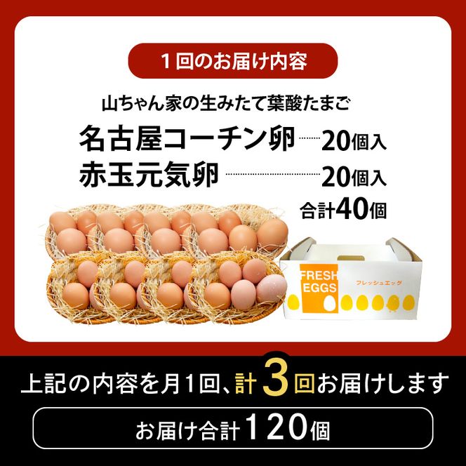 【3ヶ月定期便】【山ちゃん家の生みたて葉酸たまご】名古屋コーチン卵・赤玉元気卵 食べ比べセット（各20個 合計40個入り）［132Y11-T］3ヶ月定期便 山ちゃん家 生みたて 葉酸たまご 名古屋コーチン卵 赤玉元気卵 食べ比べ セット 各 20個 合計 40個 入り 地鶏 卵 朝食 卵焼き 目玉焼き オムライス ゆでたまご 山田養鶏 お取り寄せ 愛知県 小牧市 送料無料