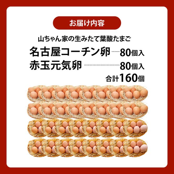 【山ちゃん家の生みたて葉酸たまご】名古屋コーチン卵・赤玉元気卵 食べ比べセット（各80個 合計160個入り）［132Y12］山ちゃん家 生みたて 葉酸たまご 名古屋コーチン卵 赤玉元気卵 食べ比べ セット 各 80個 合計 160個 入り 地鶏 卵 朝食 卵焼き 目玉焼き オムライス ゆでたまご 山田養鶏 お取り寄せ 愛知県 小牧市 送料無料