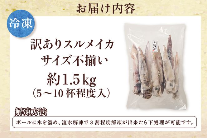 【スルメイカ もっとたっぷり約1.5kg サイズ不揃い】冷凍 訳あり 国産 バラ凍結 産地直送 鮮度抜群 いか イカ するめいか スルメイカ 刺身 使いやすい 便利 大人気 ふるさと納税 返礼品 香美町 香住 山米鮮魚 17000円 74-18