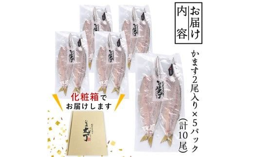 ギフト用品質！九州産ひものかます開き(10尾) 干物 かます カマス 開き 魚 海鮮 冷凍 ひもの 小分け 惣菜 おかず セット ギフト 贈り物 大分県 佐伯市【DH182】【ネクサ】