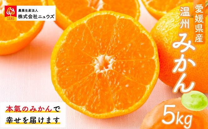 【先行予約】温州みかん（生果）5kg（2026年11月上旬より順次発送） IKTF013
