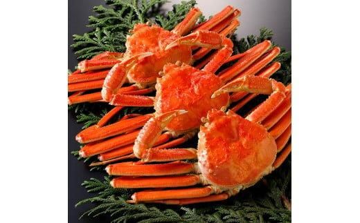 y挧khz769.y{Cz2025N11  tɁyuh^Otz 500g×3t 313726_BS018VC02