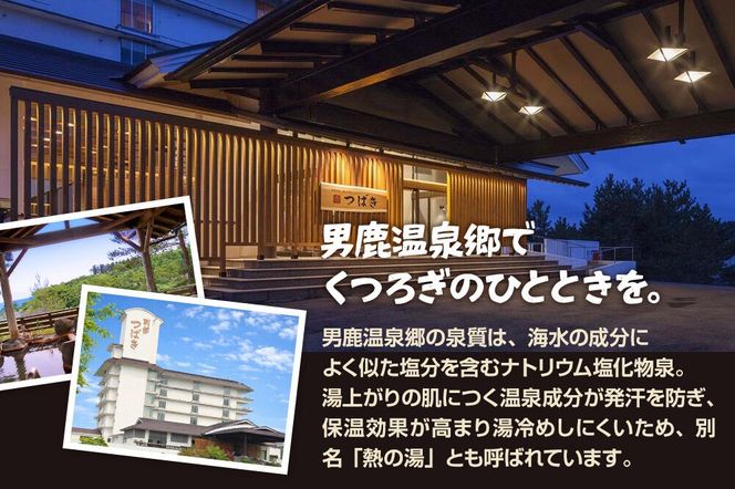観光 男鹿半島観光満喫プラン（2名様2泊3日）【楽々タクシー移動】秋田県 男鹿市 [男鹿半島 観光プラン 2泊3日 ペア旅行 タクシー移動付き 秋田旅行]|23_okk-010101