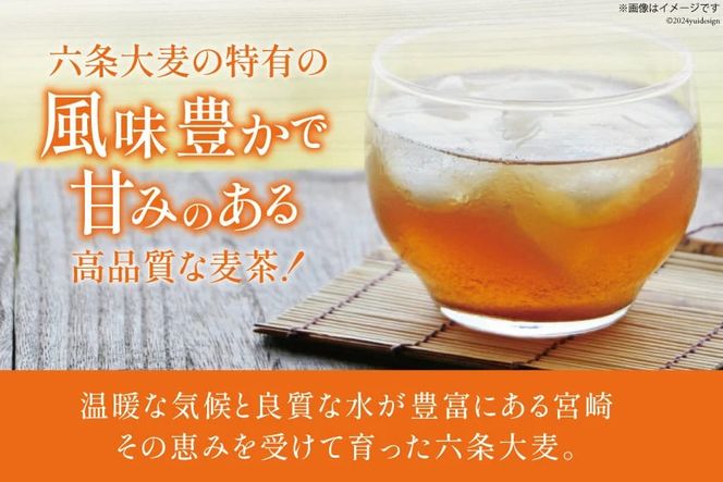 お茶 六条麦茶 ( 10g 20包 ) 10袋 [日向百生会 宮崎県 日向市 452061128] 麦茶 むぎ茶 水出し 煮出し ティーバッグ 国産 ノンカフェイン