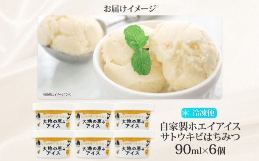 3451. 牧之瀬牧場 自家製ホエイアイス  蜂蜜サトウキビ 6個 アイス 氷菓子 ひんやり アイスクリーム ホエイ 自家製アイス 自家製 さとうきび きび糖 キビ糖 はちみつ 蜂蜜 濃厚 冷凍 スイーツ デザート お取り寄せ 送料無料 北海道 弟子屈町