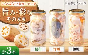 レンコンビネガーサラダ 3本（和風・洋風・昆布） ビネガーサラダ 常備菜 おかず 愛西市 / しのだ農園-SHINODA FARM-[AECE008]