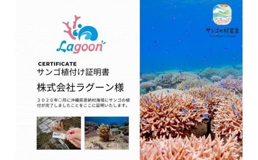 チケット サンゴ植付け ｜ 代行サービス 2株【恩納村ラグーン】