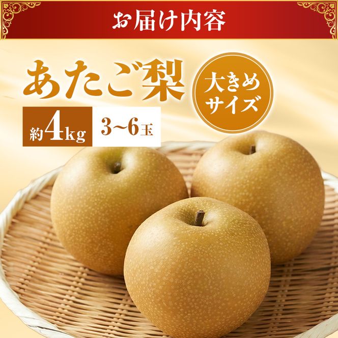 【2026年先行受付】 梨 あたご梨  秀品 約4kg(3～6玉) 岡山名産 日本一大きな梨 なし ナシ お歳暮 ギフト 御礼 プレゼント 御礼 御祝 御供 果物 くだもの フルーツ